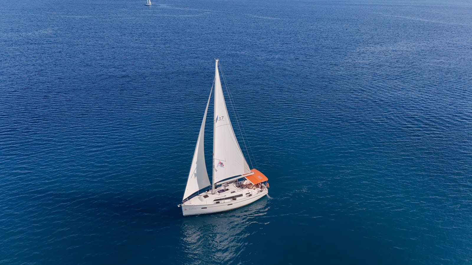 Bavaria 37 - Roger Rabbit - 3
